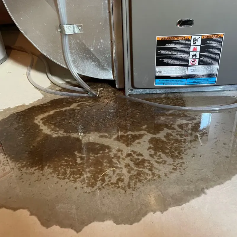 Pipe Burst and Leak Restoration in Lonaconing, MD