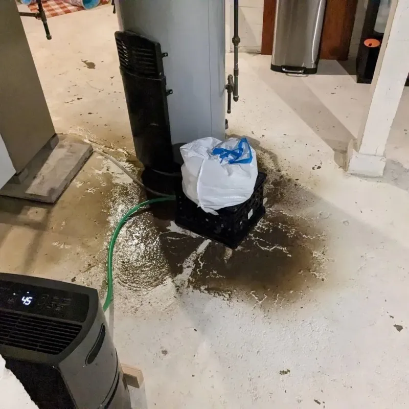Sewage Backup Cleanup Service in Lonaconing, MD